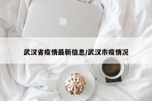 武汉省疫情最新信息/武汉市疫情况